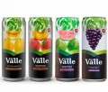 DEL VALLE FRUT 290ML