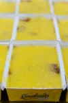 Patinho Desfiado com Arroz Integral e Legumes - 450g