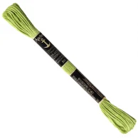 Linha Anchor Mouline 255 verde pistache.jpg