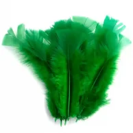 pena verde bandeira.png