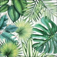 Guardanapo Decoupage 13310940 Tropical leaves white.png