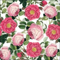 Guardanapo Decoupage 13318515 rosaline white.png