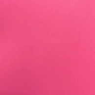 E.V.A liso rosa.png