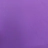 E.V.A liso roxo.png
