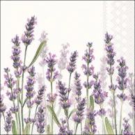 Guardanapo Decoupage 13315985 Lavender shades white.png