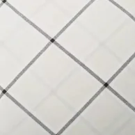 ieda 2.png
