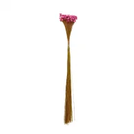 sempre viva maco menor rosa claro.png