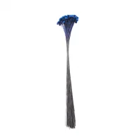 sempre viva comum azul escuro.png