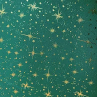 Tecido Oxford Natal shine fundo verde com dourado 222.V44.044.webp