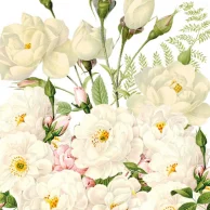 guardanapo para decoupagem 133003354 Roses Blancs.jpg
