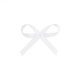 capa lacinho cetim 100.png