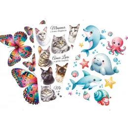 capa transfer TIS.png