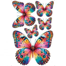 capa transfer TIS.png