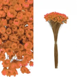 capa sempre viva.png