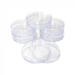 capa latinha acrilica.png capa latinha acrilica.png