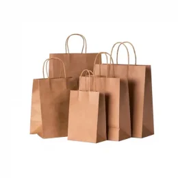 capa sacola de papel kraft.png