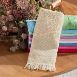 capa toalha valletex .png