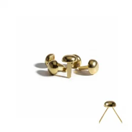 capa pe de bolsa bailarina.jpg