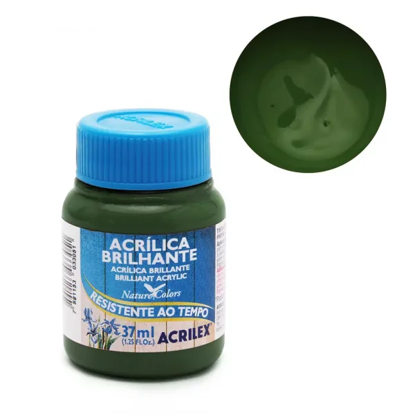 tinta acrilica brilhante 37ml 545 verde-oliva.webp