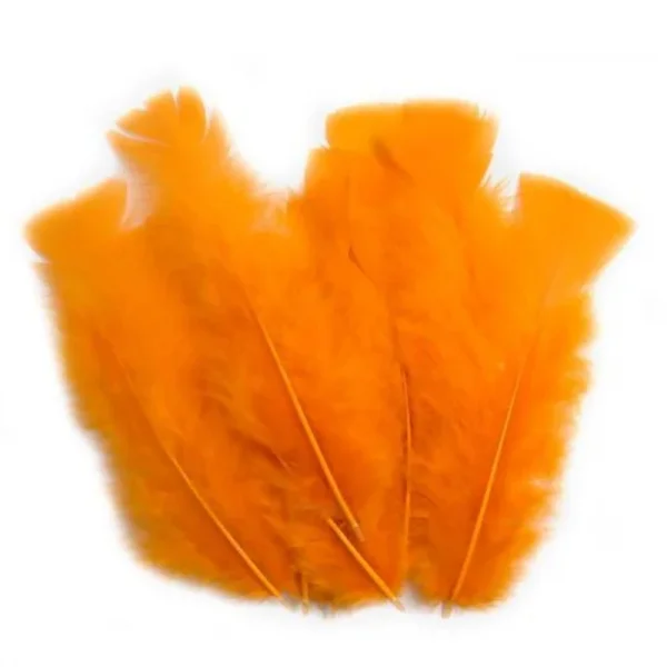 pena laranja.png