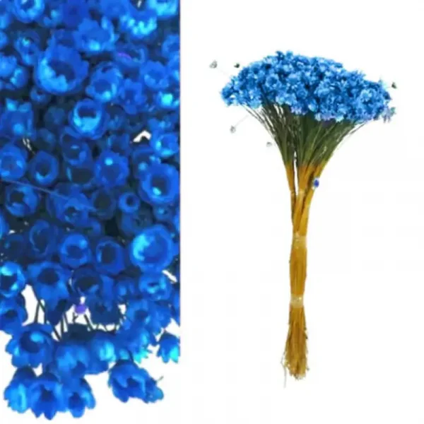 sempre viva azul royal.webp