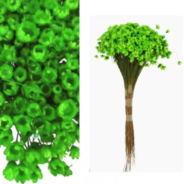 sempre viva verde claro.webp
