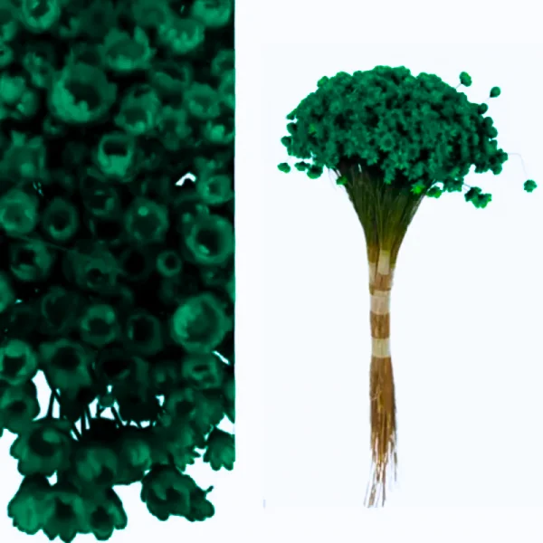 sempre viva verde bandeira.png
