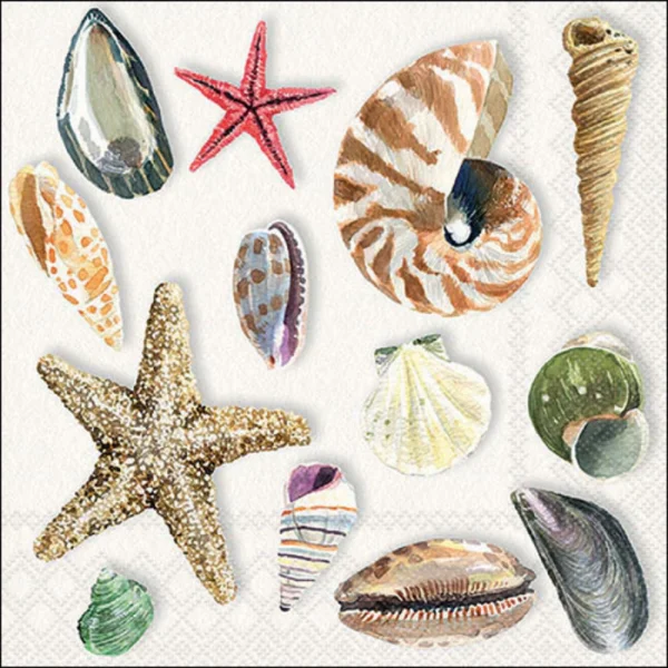 Guardanapo Decoupage 13317390 Shells.png