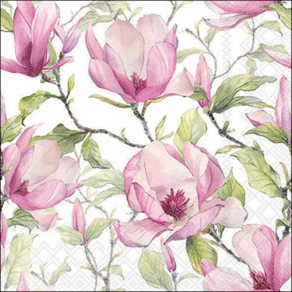 Guardanapo Decoupage 13318440 Blooming magnolia.png