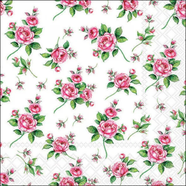 Guardanapo Decoupage 13311355 Evelyn white.png