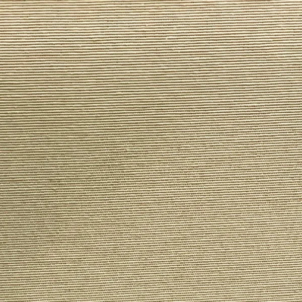DRYTEX BEGE.png