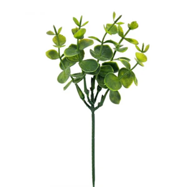 f.pick eucalipto 23cm.png