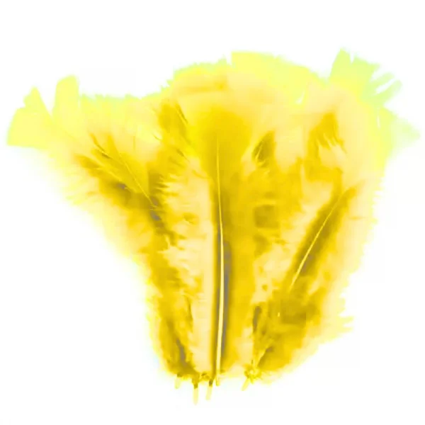 pena colorida amarelo.jpg