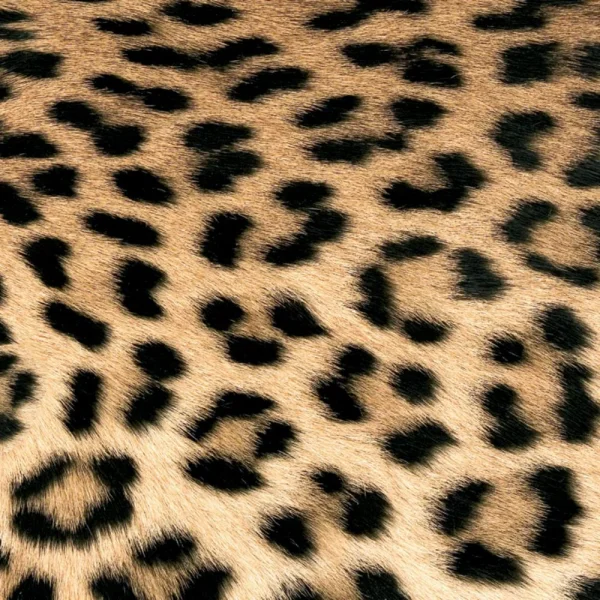 guardanapo para decoupagem 6530 Leopard Couture.jpg