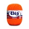 clea 1000 - 4445.png
