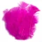 pena pink.png