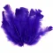 pena roxo.png