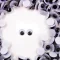 olho movel n.12.png