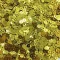 Paete 5gr Dourado.jpg