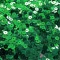 Paete 5gr verde.webp