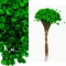 verde escuro.webp