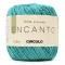 encanto cor 5556.png
