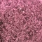glitter 50gr pink (2).png
