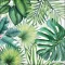 Guardanapo Decoupage 13310940 Tropical leaves white.png