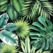 Guardanapo Decoupage 13310941 Tropical leaves black.png