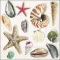 Guardanapo Decoupage 13317390 Shells.png