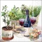 Guardanapo Decoupage 13317560Wine & Herbs.png