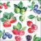 Guardanapo Decoupage 13318300 Sweet fruits.png
