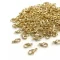 Fecho lagosta F4 dourado.png