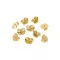 tarracha dourado.png